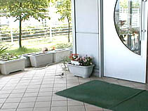 親鳥が戻ってきました