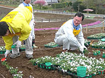 1人100苗頑張って！