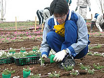 カップからそっと外して