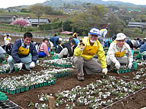 作業順調です！