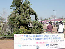 ラン展受賞作品