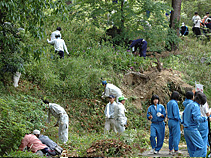 皆で分担して綺麗に