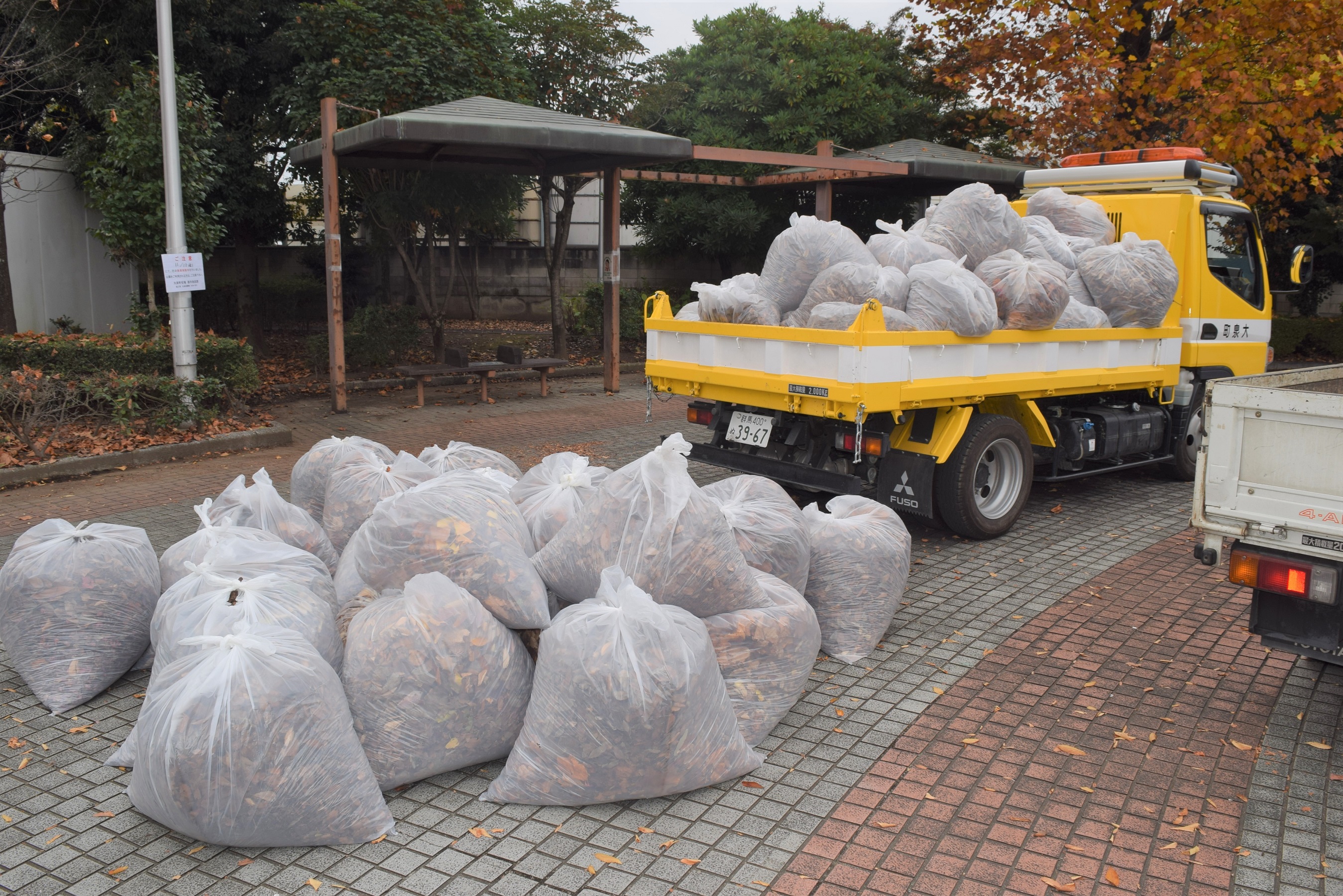 たくさん集まりました