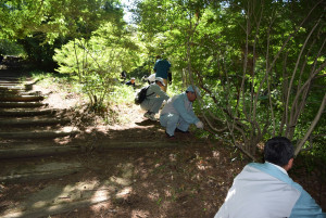 第29回金山清掃④