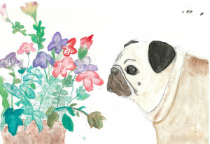 7.奥谷悠(高学年):花と愛犬